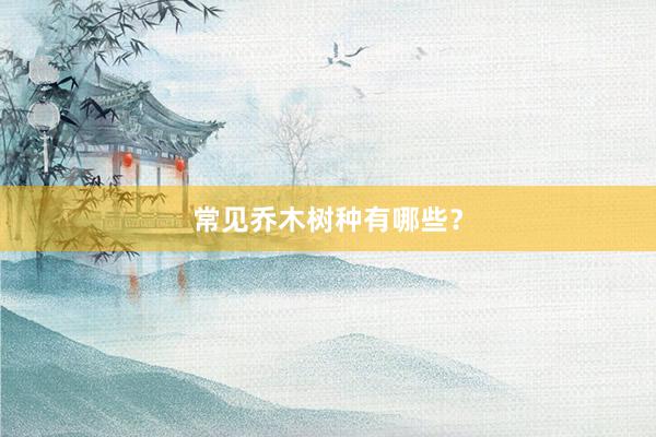常见乔木树种有哪些？