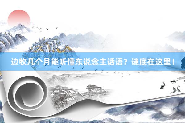 边牧几个月能听懂东说念主话语？谜底在这里！